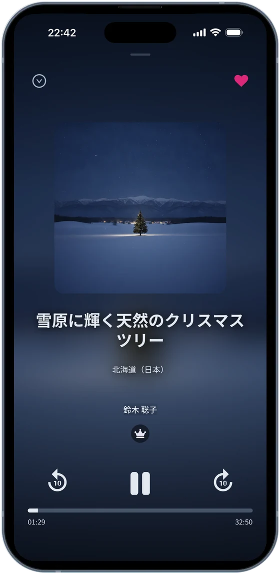 再生画面:雪原に輝く天然のクリスマスツリー(北海道)